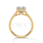 2 Ct Modern Princess Cut Diamond Ring in 14K Solid Gold with Pave Setting