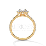 1 Ct Round Halo Diamond Engagement Ring in 14K Solid Gold with Pave Band