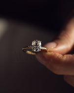Cushion Brilliant Leb Diamond & Moissanite Diamond Engagement Ring Halo With Side Stone Engagement Ring